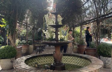 The Grounds of Alexandria