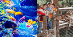 動物園・水族館