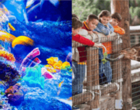 動物園・水族館