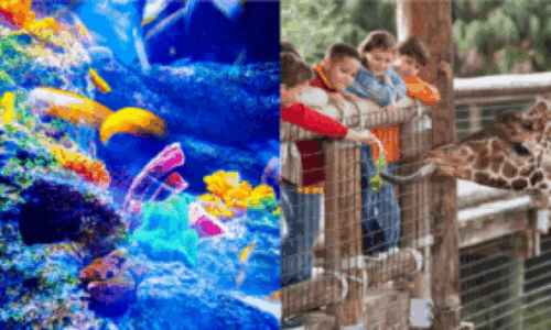 動物園・水族館
